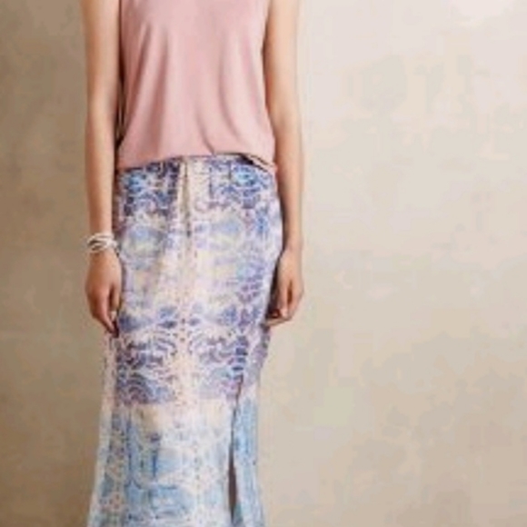 Anthropolgie Maxi Skirt - Picture 3 of 3